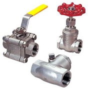 شیر فلکه سوزنی دنده ای استیل316L/اسپیرال فیتینگ 33956626